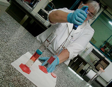 El Instituto Sabato participa en la Semana de la Ciencia 2019