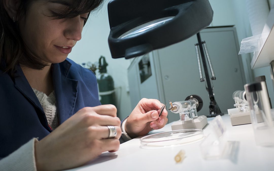 Inscripción