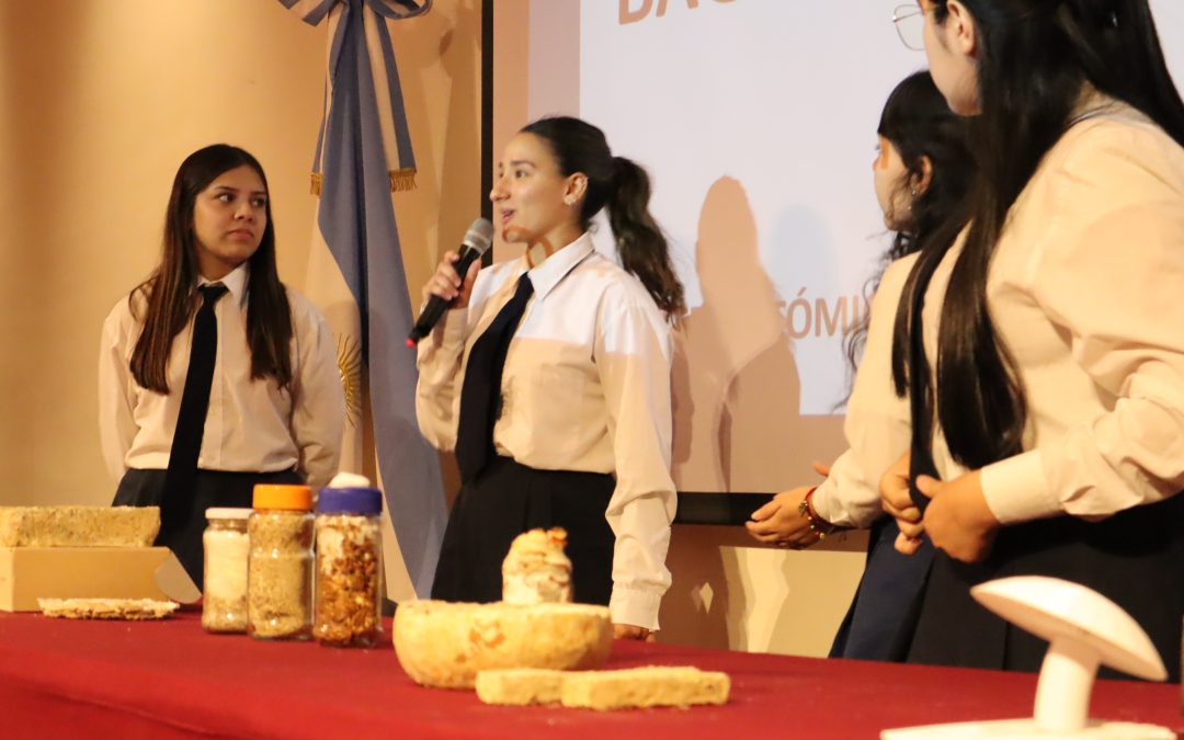 Concurso: «Los Materiales y la Humanidad»